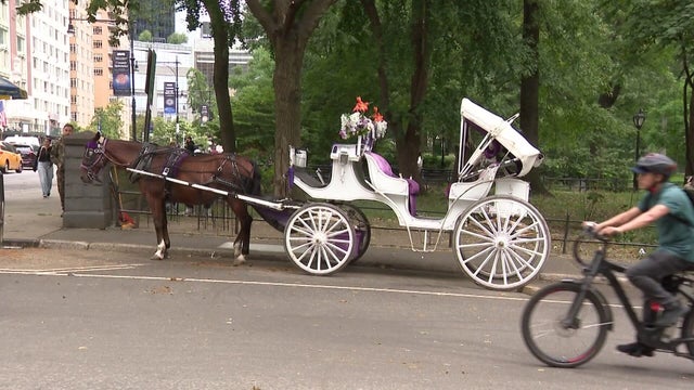 horse-carriage-12p-vo-l-wcbsfs2r-hi-res-still.jpg 