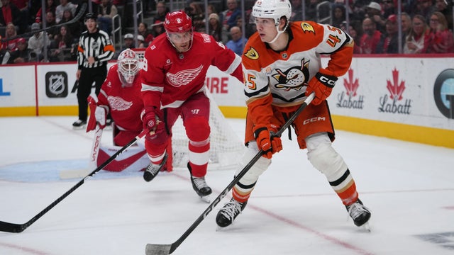 Ducks Red Wings Hockey 