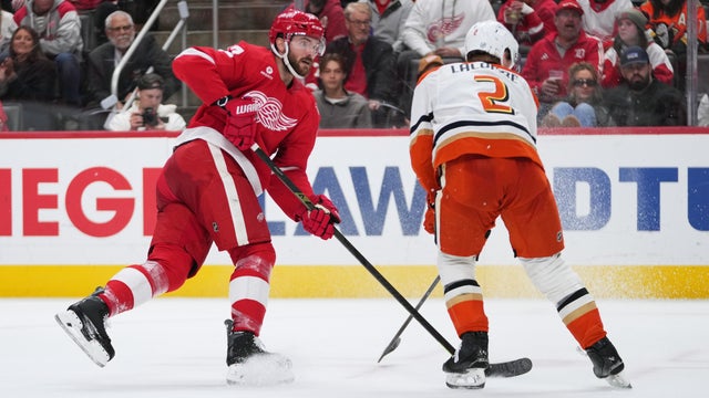 Ducks Red Wings Hockey 