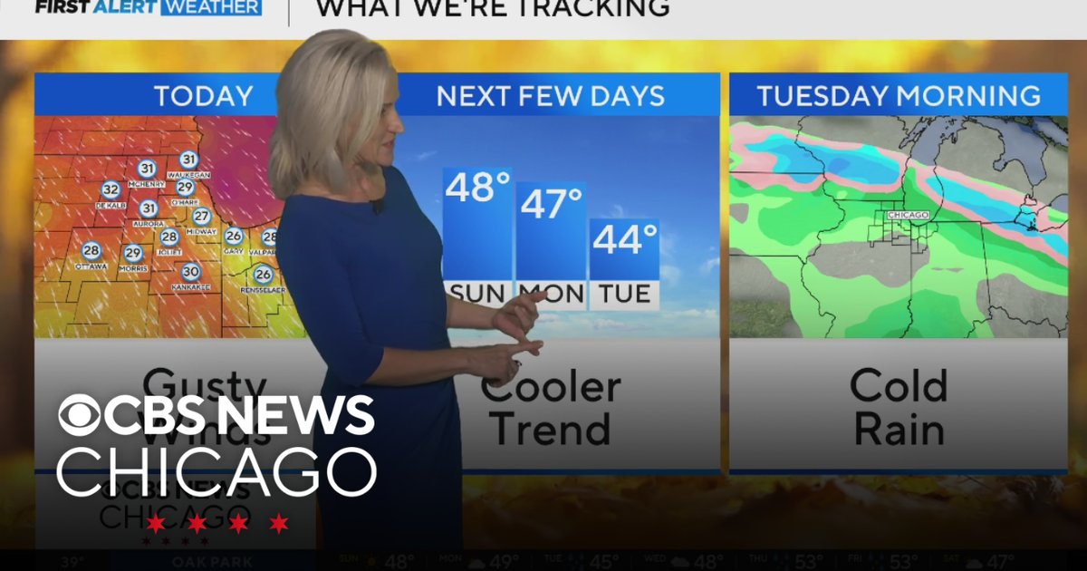 Gusty winds Sunday, cooler trend next few days in Chicago - CBS Chicago