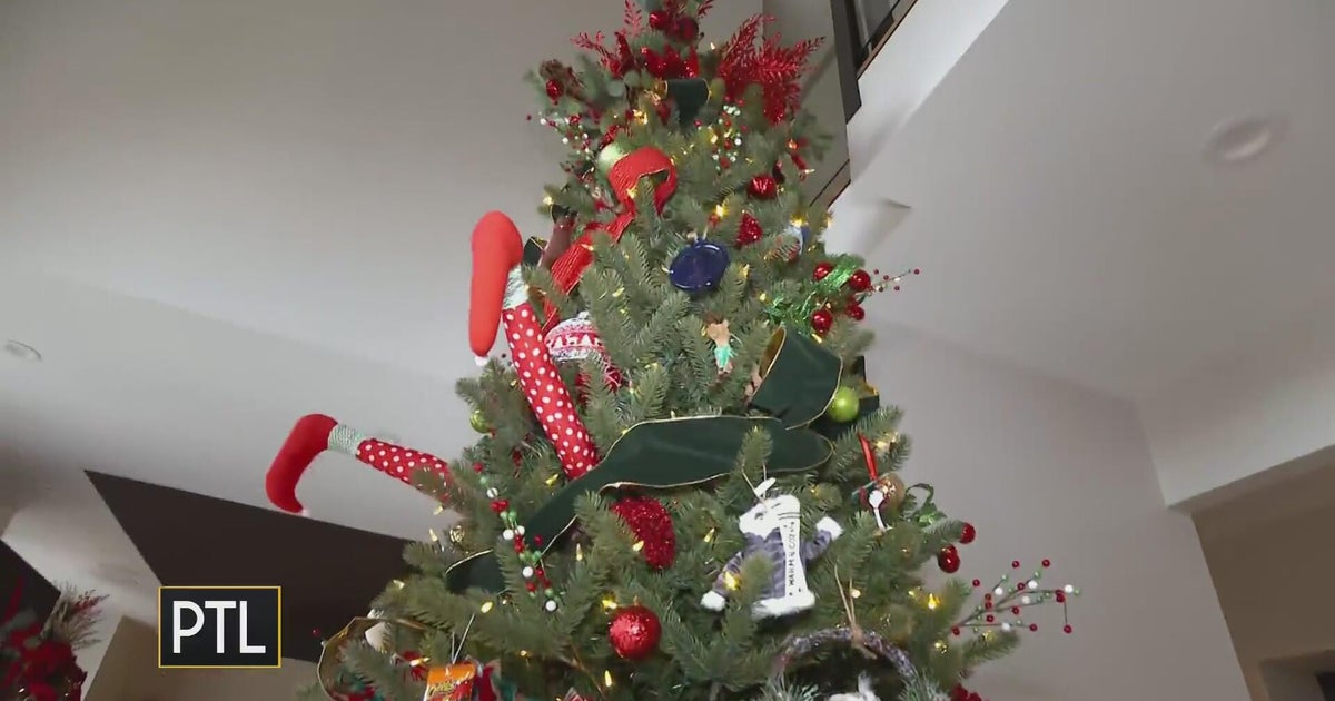 Symphony Splendor Holiday House Tour