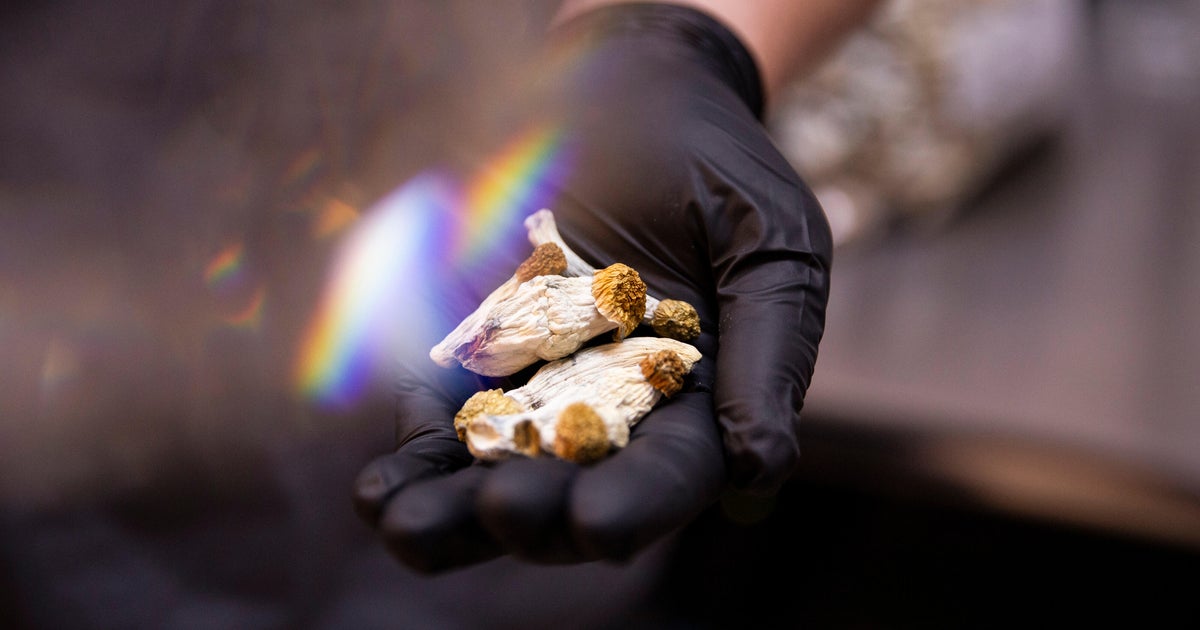 Maryland task force deems natural psychedelics safe for some medical uses