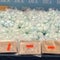 1.7 million pills of fentanyl seized from abandoned storage unit that was auctioned off
