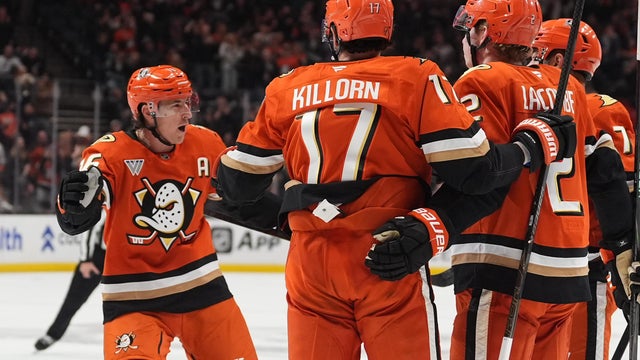 Mammoth Ducks Hockey 