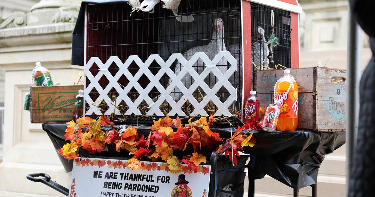 Michigan Gov. Whitmer pardons 2 turkeys named "Faygo" and "Vernors"