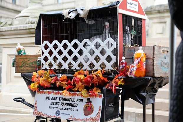 Whitmer pardons 2 turkeys named "Faygo" and "Vernors"
