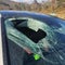 Driver claims eagle dropped cat trough car's windshield on highway