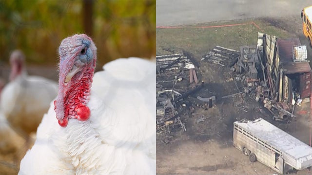 turkey-farm-fire-split.jpg 