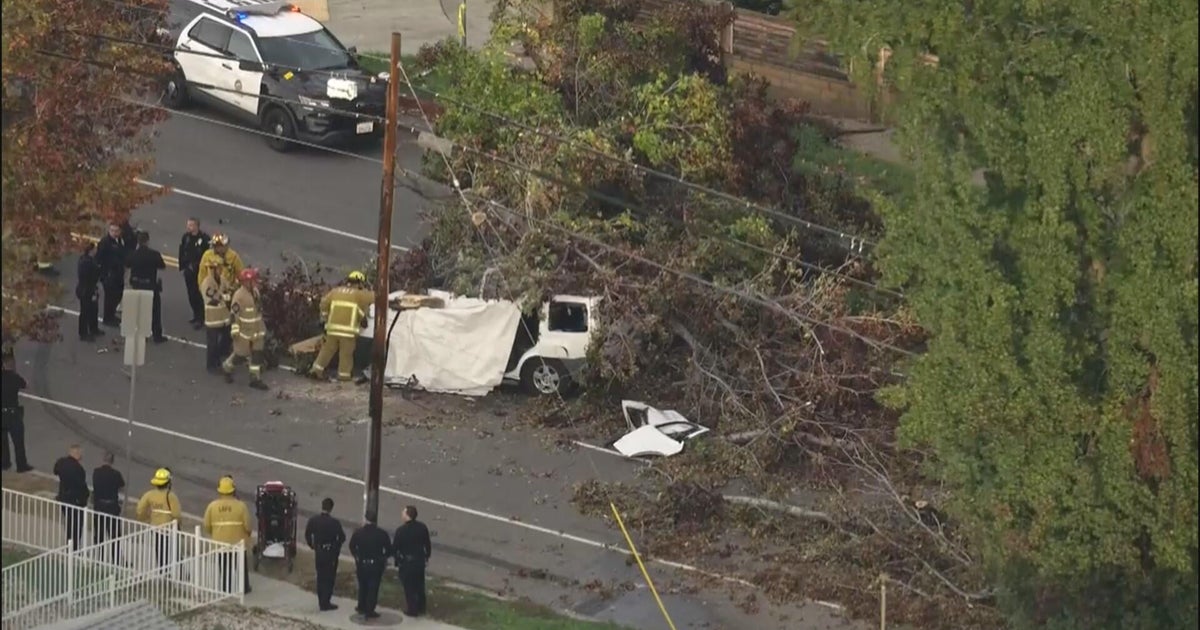 1 driver killed after large tree falls onto car in Winnetka - CBS Los ...