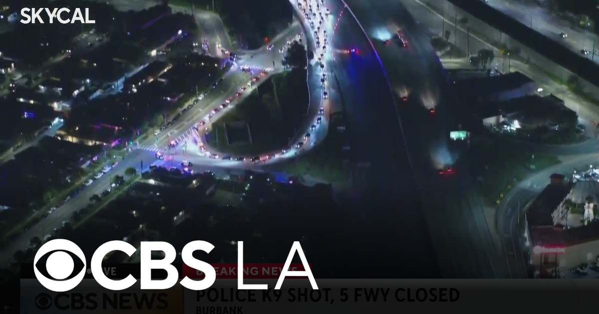 5 Freeway in Burbank shut down after suspect shoots police K9 - CBS Los ...