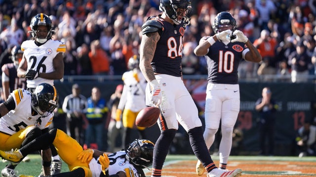 Steelers Bears Football 