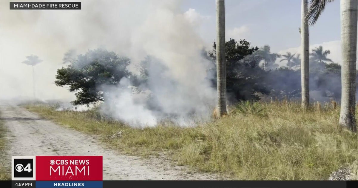 Firefighters battle brush fire in West Miami-Dade - CBS Miami