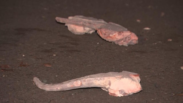 Frozen beef left scattered outside tractor trailer in Northeast Philadelphia 