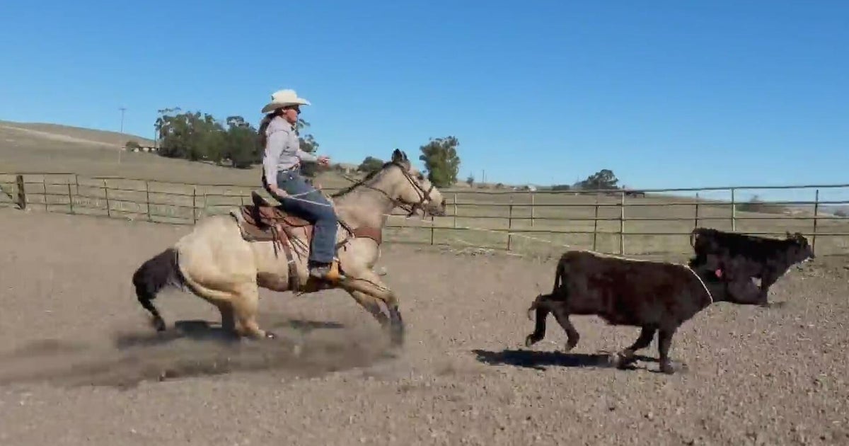 Rodeo sports drawing in more fans as women take the reins