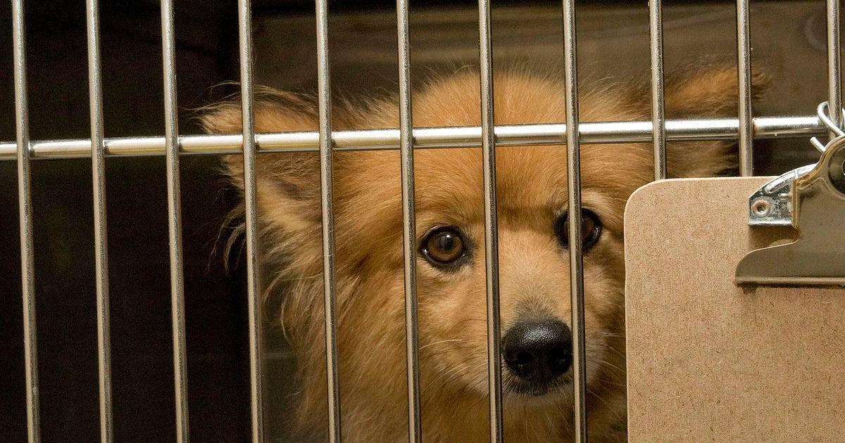 Florida Gov. Ron DeSantis tells lawmakers to crack down on