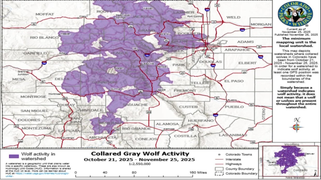 Colorado Parks and Wildlife releases new wolf activity map - CBS Colorado