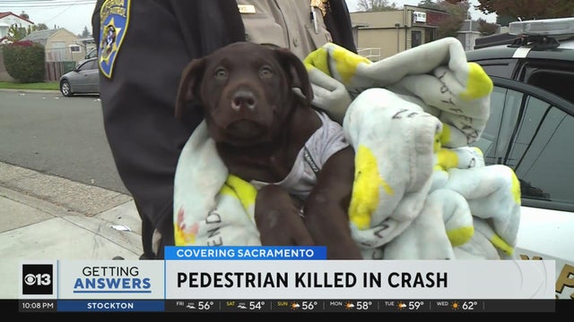 Pedestrian killed in crash in Arden-Arcade, dog injured