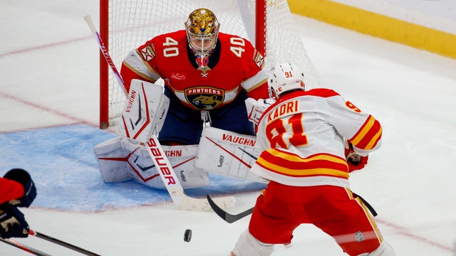 NHL: NOV 28 Flames at Panthers 