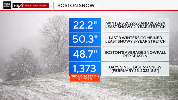 2025-snow-futility-boston-copy.jpg 
