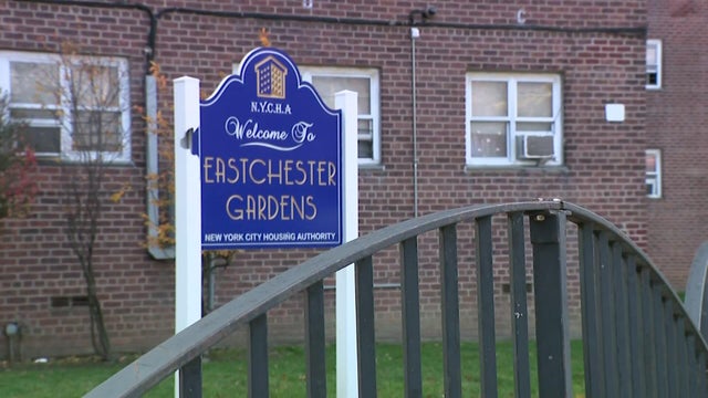 NYCHA's Eastchester Gardens in the Bronx 