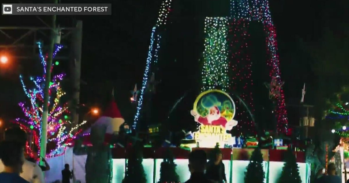 South Florida begins holiday season overload | Miami Life