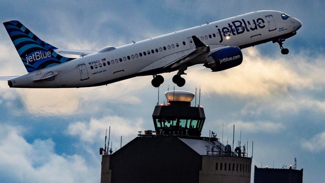 What can we be grateful for this Thanksgiving? In the spirit of Charlie Brown: 'everything.' 