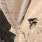 Sasha DiGiulian becomes first woman to free-climb El Capitan's longest route
