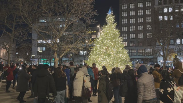 copley-square-tree.jpg 