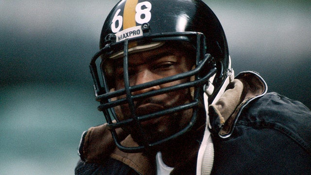 Steelers L.C. Greenwood 