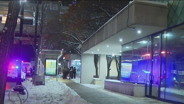 Cook Co. Substation South Loop 