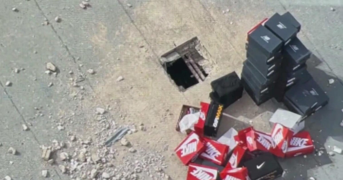 Three men face up to life in prison after stealing sneakers worth thousands from Florida, Georgia malls