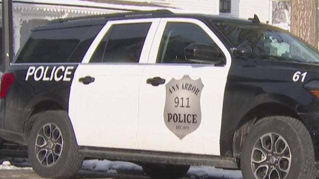 Police lights generic 