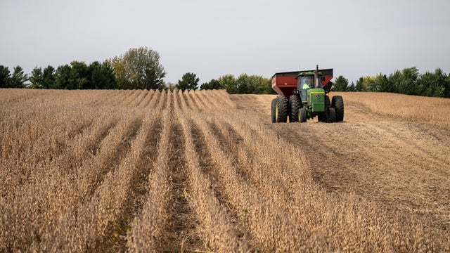 China's Soybean Feud With Trump Leaves US Farmers With Huge Crops And Few Buyers 