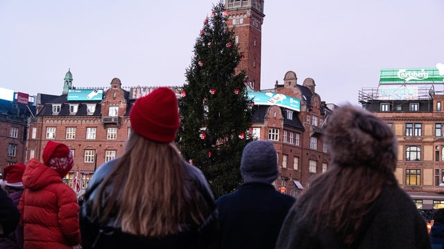 Christmas Tree Lighting In Copenhagen 