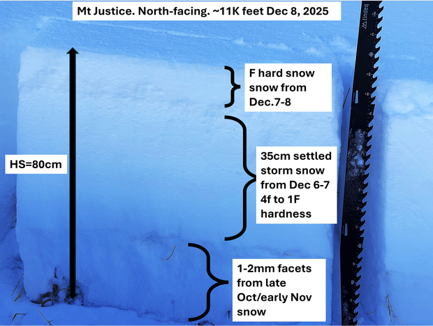 3-12-8-25-mt-justice-snow-profile.png