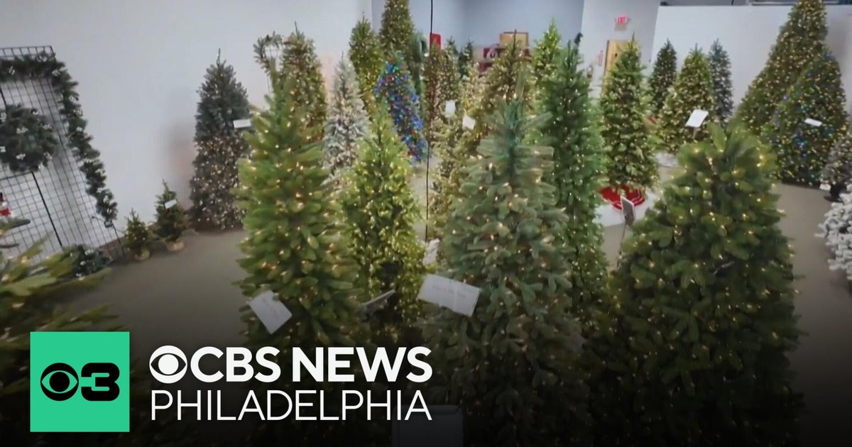 Philadelphia families choosing real holiday trees over artificial ones ...