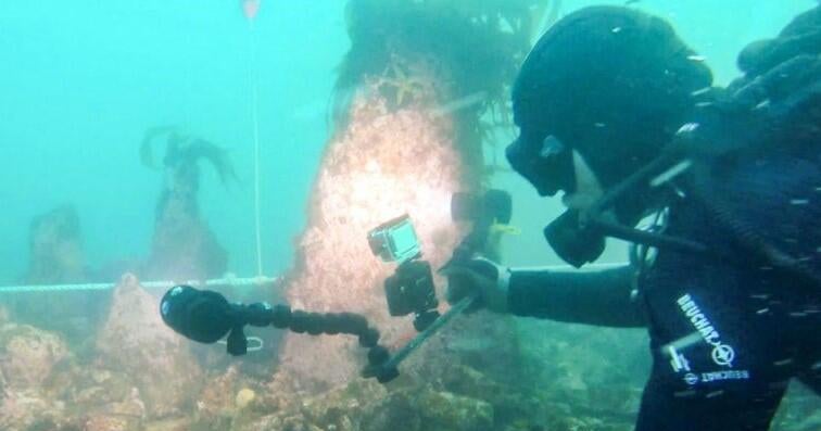 Водолазите откриха масивна подводна стена на 7000 години край бреговете на Франция