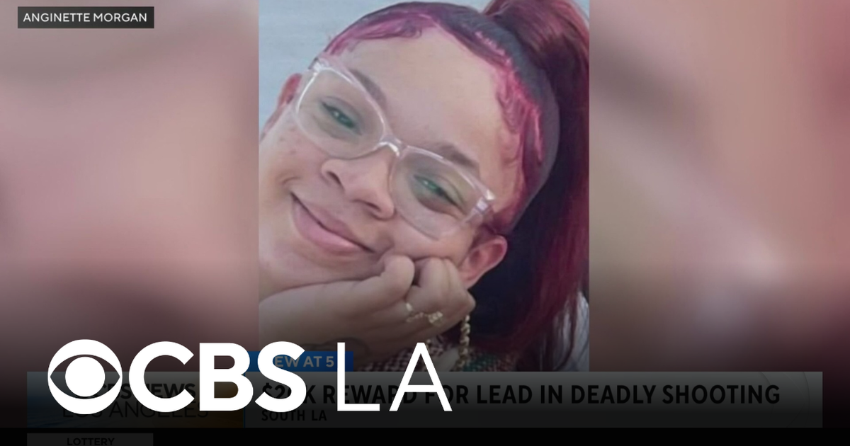 $20k reward offered as search for gunman in deadly 2024 South LA ...