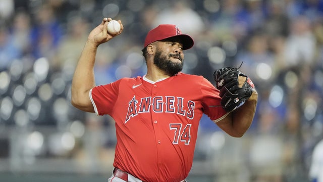 Tigers Jansen Baseball 