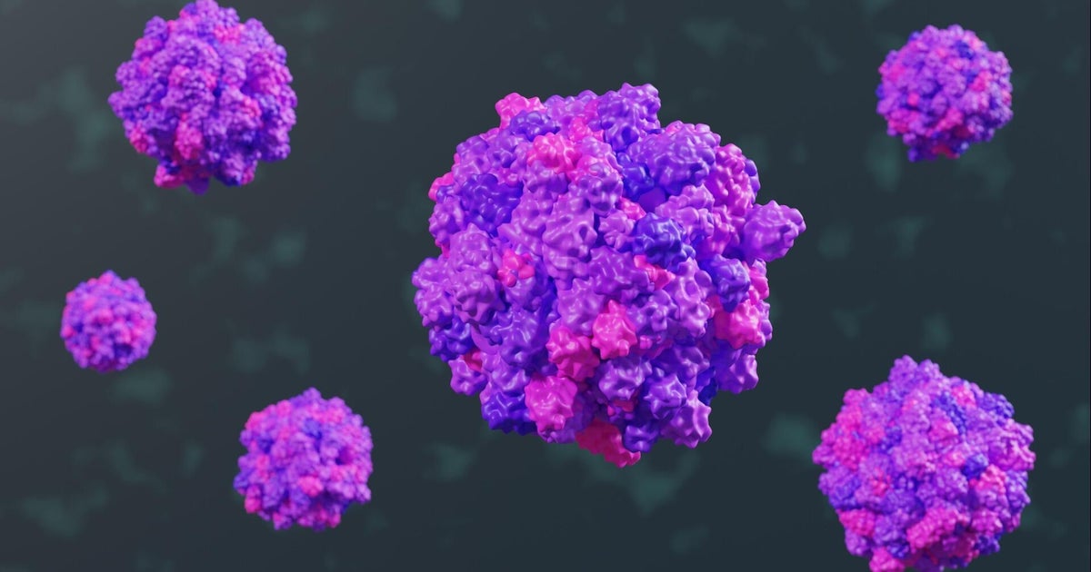 Highly contagious norovirus spreading across the U.S. ahead of holidays