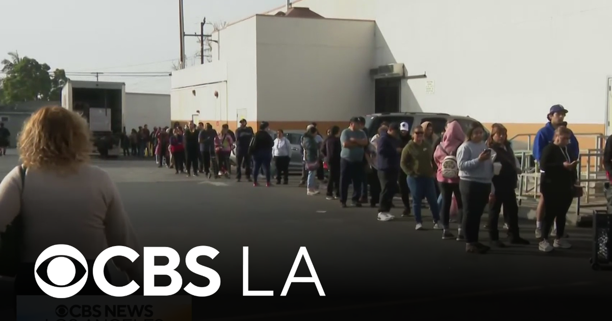 The famous Downey holiday tamales are available now