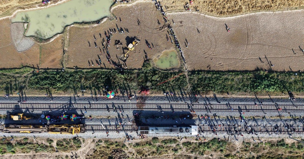 Седем диви азиатски слона бяха убити и едно теле беше