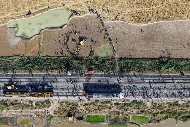 Seven Elephants Killed in Train Collision Horror in India