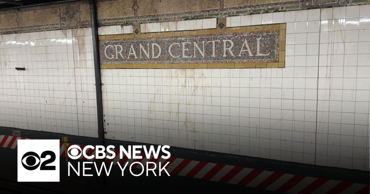 Man slashed in head on 6 train at Grand Central subway station, police ...