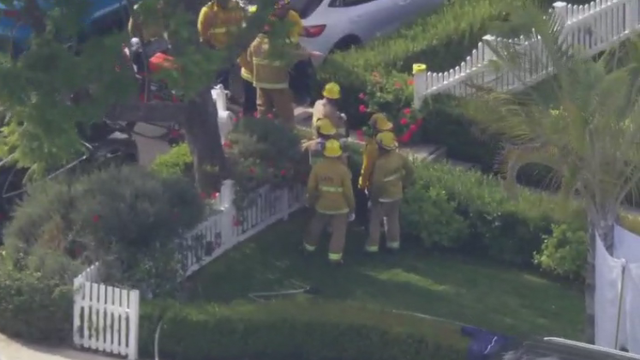 tarzana-hazmat.png 