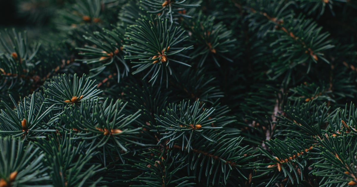 Here's what's open and what's closed on Christmas Eve, Christmas Day in Michigan