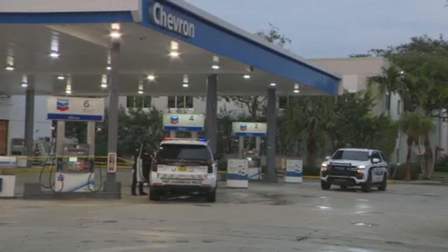 Police lights generic 