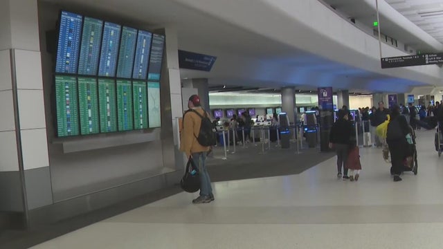 A person at the San Francisco airport looking at the flight status board 