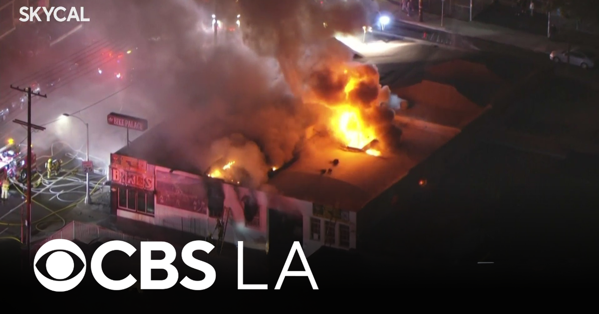 Firefighters battle large blaze at San Pedro business