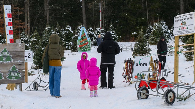 tu121025_ChristmasTreeOutlook 